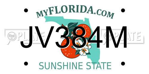 JV384M Florida License Plate