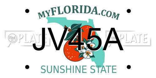 JV45A Florida License Plate