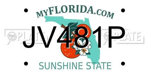 JV481P Florida License Plate