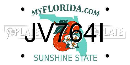 JV764I Florida License Plate