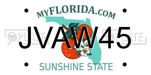 JVAW45 Florida License Plate