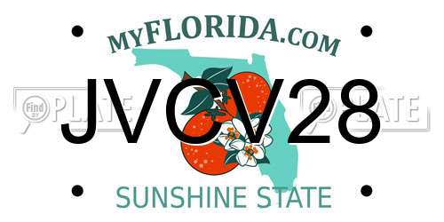 JVCV28 Florida License Plate