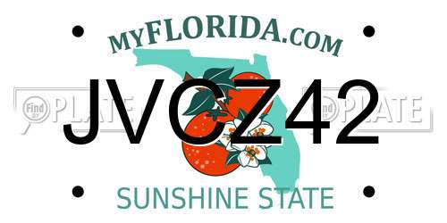 JVCZ42 Florida License Plate