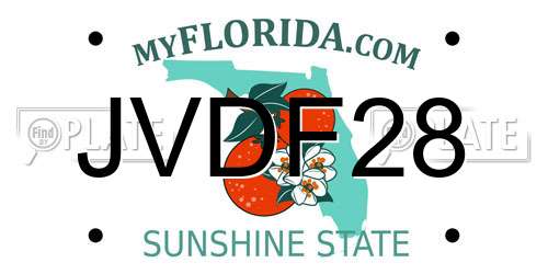 JVDF28 Florida License Plate