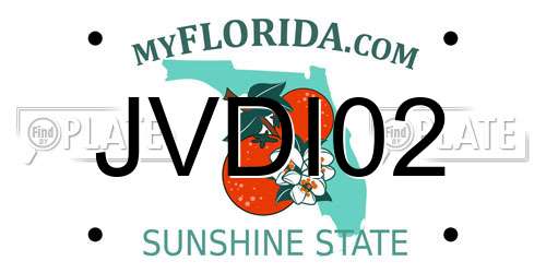 JVDI02 Florida License Plate
