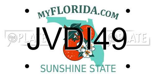 JVDI49 Florida License Plate