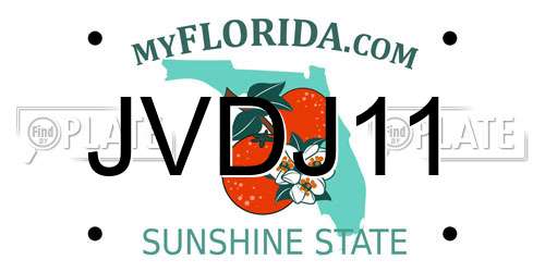 JVDJ11 Florida License Plate