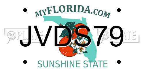 JVDS79 Florida License Plate