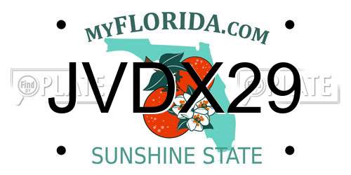 JVDX29 Florida License Plate