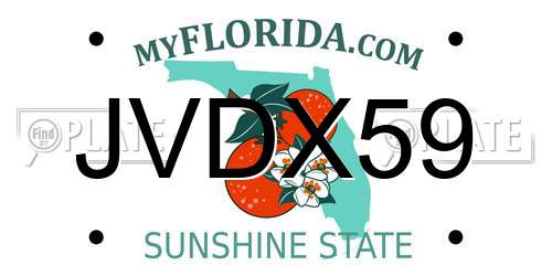 JVDX59 Florida License Plate