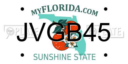 JVGB45 Florida License Plate
