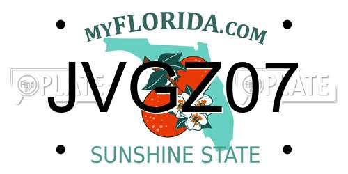JVGZ07 Florida License Plate
