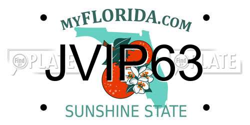 JVIP63 Florida License Plate