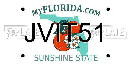 JVIT51 Florida License Plate