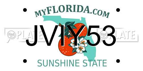 JVIY53 Florida License Plate