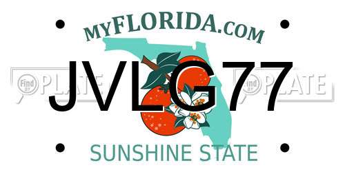 JVLG77 Florida License Plate