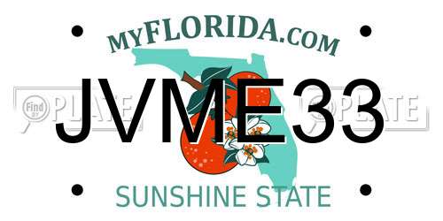 JVME33 Florida License Plate