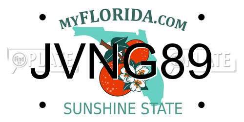 JVNG89 Florida License Plate