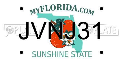 JVNJ31 Florida License Plate