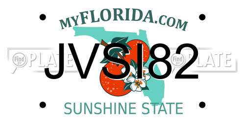 JVSI82 Florida License Plate