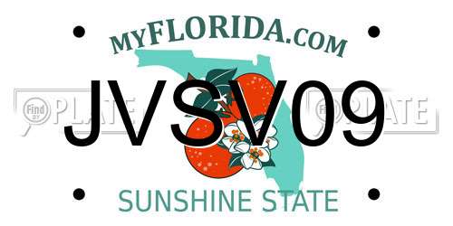 JVSV09 Florida License Plate