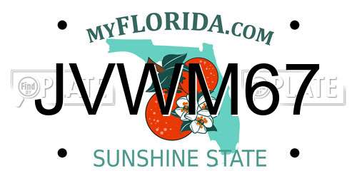 JVWM67 Florida License Plate