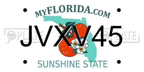 JVXV45 Florida License Plate