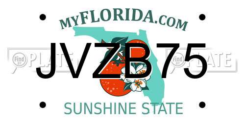 JVZB75 Florida License Plate