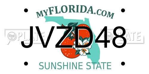 JVZD48 Florida License Plate