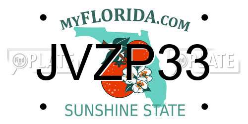 JVZP33 Florida License Plate