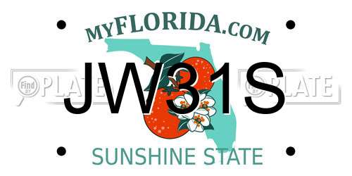 JW31S Florida License Plate