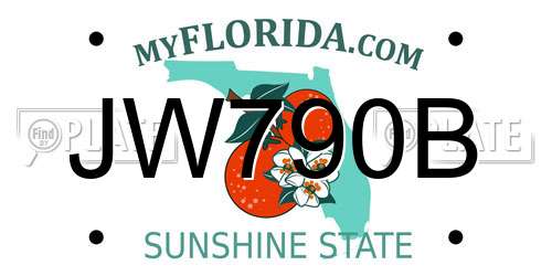 JW790B Florida License Plate