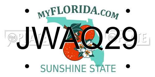 JWAQ29 Florida License Plate