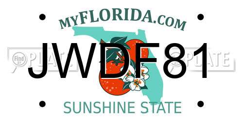 JWDF81 Florida License Plate