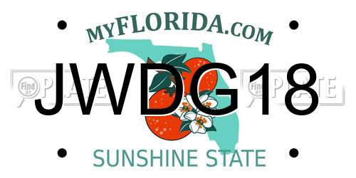 JWDG18 Florida License Plate