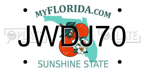 JWDJ70 Florida License Plate