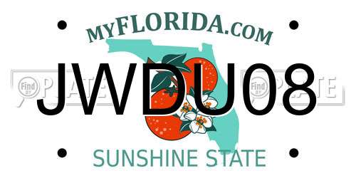 JWDU08 Florida License Plate
