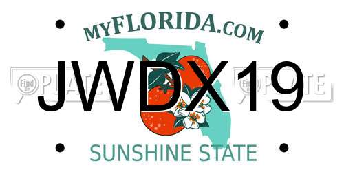 JWDX19 Florida License Plate