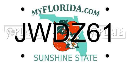 JWDZ61 Florida License Plate