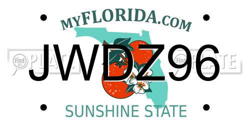 JWDZ96 Florida License Plate