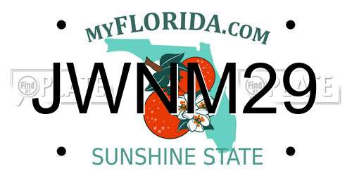 JWNM29 Florida License Plate