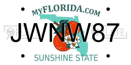 JWNW87 Florida License Plate