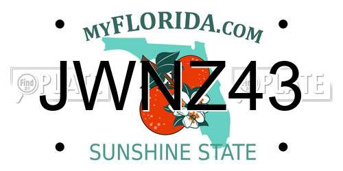 JWNZ43 Florida License Plate