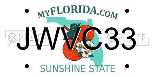 JWVC33 Florida License Plate