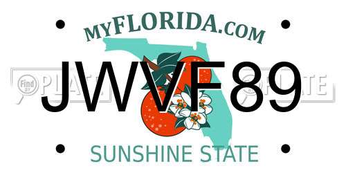 JWVF89 Florida License Plate