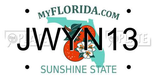 JWYN13 Florida License Plate