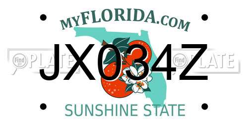 JX034Z Florida License Plate