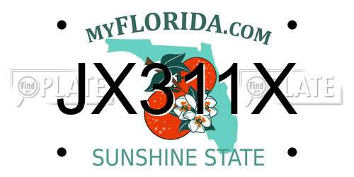 JX311X Florida License Plate