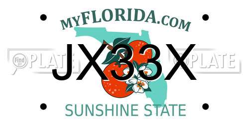 JX33X Florida License Plate