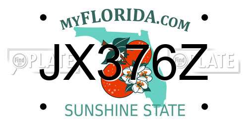 JX376Z Florida License Plate